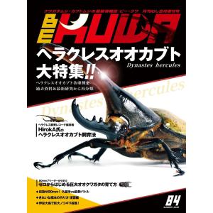 Vジャンプ 2026年 7月号 : ポピクロ - 通販 - Yahoo!ショッピング