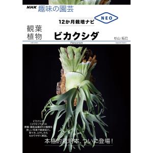 2025年10月】ビカクシダの本のおすすめ人気ランキング - Yahoo