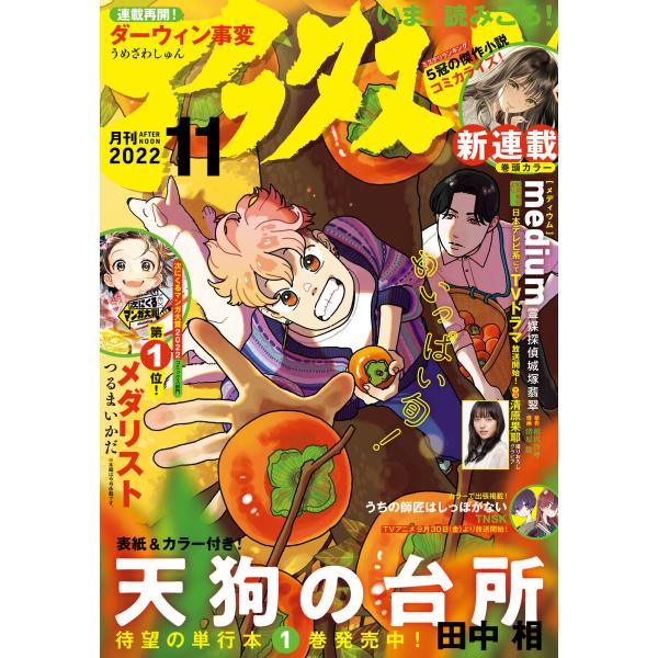 アフタヌーン 2022年11月号 [2022年9月24日発売] 電子書籍版