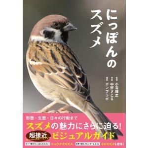登木健司 難関大英語長文 講義の実況中継 : 学参ドットコム - 通販