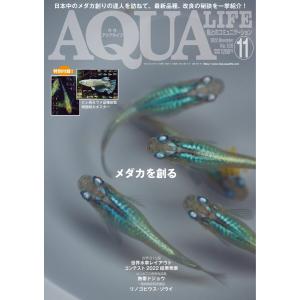 アクアライフ 2022年11月号 電子書籍版 / アクアライフ編集部