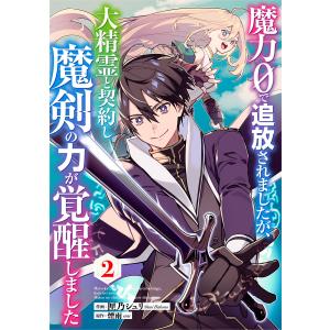 魔力0で追放されましたが、大精霊と契約し魔剣の力が覚醒しました【分冊版】2巻 電子書籍版 / 匣乃シュリ(作画)/煙雨(原作)