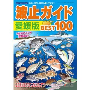 新版 空撮 波止ガイド岡山・備後・しまなみ海道版 : はいじストア