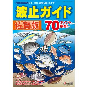 新版 空撮 波止ガイド岡山・備後・しまなみ海道版 : はいじストア