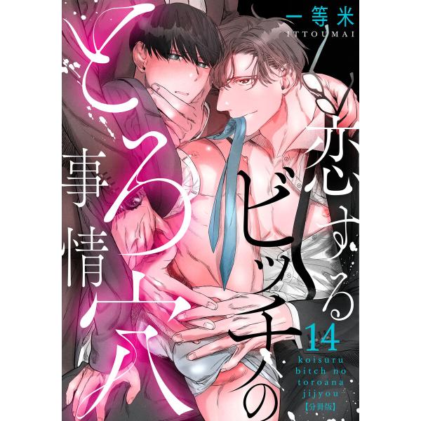 恋するビッチのとろ穴事情【分冊版】(14) 電子書籍版 / 著:一等米
