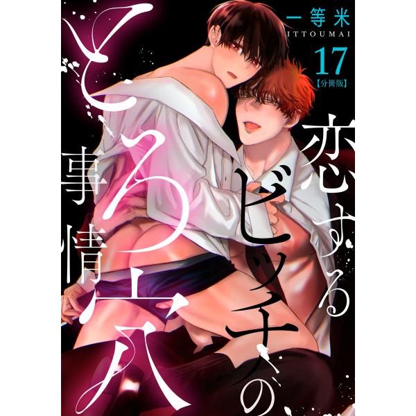 恋するビッチのとろ穴事情【分冊版】(17) 電子書籍版 / 著:一等米