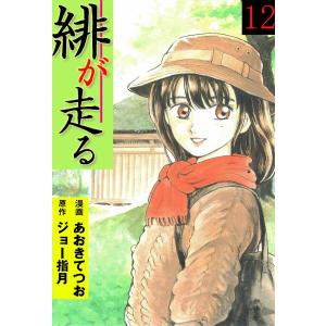 緋が走る (12) 電子書籍版 / あおきてつお(作画) ジョー指月(原作)｜ebookjapan