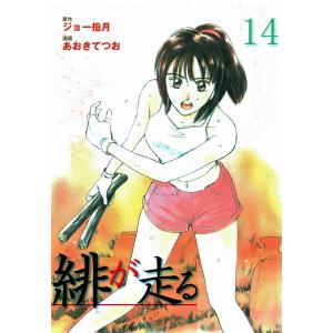 緋が走る (14) 電子書籍版 / あおきてつお(作画) ジョー指月(原作)｜ebookjapan