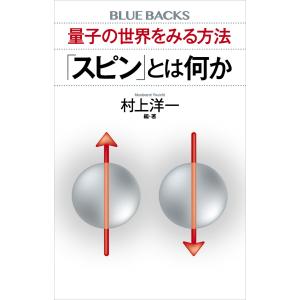 量子の世界をみる方法 「スピン」とは何か 電子書籍版 / 村上洋一｜ebookjapan