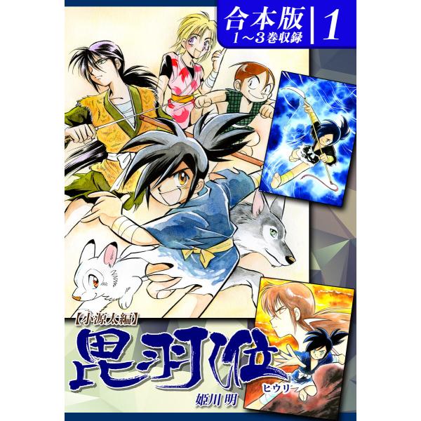 ヒウリ【小源太編】 《合本版》(1) 1〜3巻収録 電子書籍版 / 漫画:姫川明