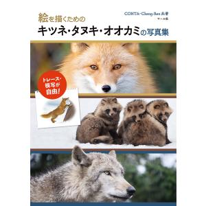 絵を描くためのキツネ・タヌキ・オオカミの写真集 電子書籍版 / 著:CONTA 著:Cheng-Ren｜ebookjapan