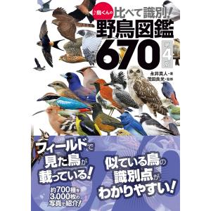 新品 / 青空小学校いろいろ委員会 (全10冊) 全巻セット : 漫画全巻