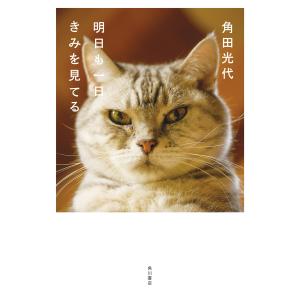 明日も一日きみを見てる 電子書籍版 / 著者:角田光代｜ebookjapan