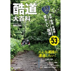 ゼンリン（ZENRIN） ゼンリン住宅地図 A4判 千葉県 千葉市若葉区