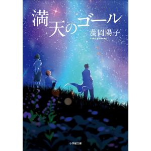 平家物語 全巻 セット 全4巻 山下宏明 梶原正昭 岩波文庫 全巻セット