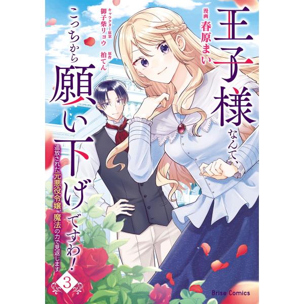 王子様なんて、こっちから願い下げですわ!〜追放された元悪役令嬢、魔法の力で見返します〜 (3) 電子...