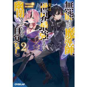 完本三国志 全六巻 絵本通俗三国志 愛蔵版』 羅貫中：著 : くうねる堂