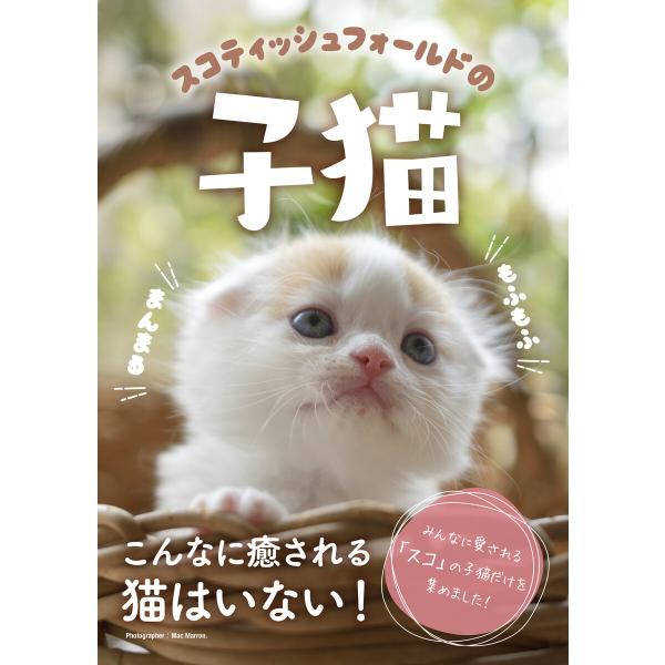 スコティッシュフォールドの子猫 電子書籍版 / MacMarron