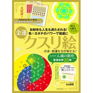 病気を癒し、人生を好転させる奇跡の魔法ループ/丸山修寛 : bookfan