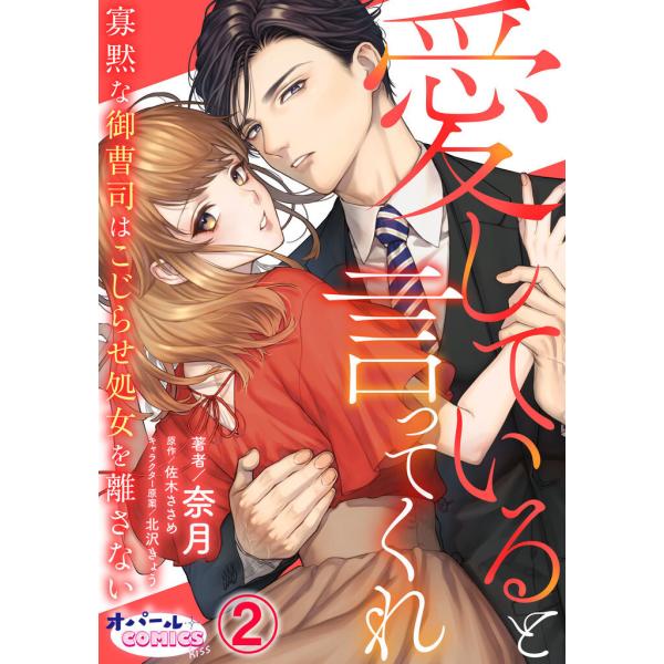 愛していると言ってくれ 寡黙な御曹司はこじらせ処女を離さない2 電子書籍版 / 奈月/佐木ささめ