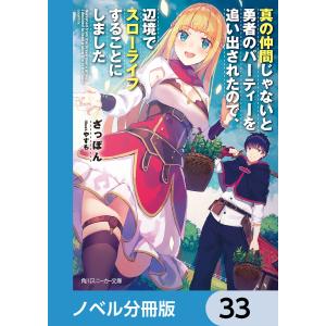 真の仲間じゃないと勇者のパーティーを追い出されたので、辺境でスローライフすることにしました【ノベル分冊版】 33 電子書籍版