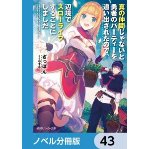 真の仲間じゃないと勇者のパーティーを追い出されたので、辺境でスローライフすることにしました【ノベル分冊版】 43 電子書籍版