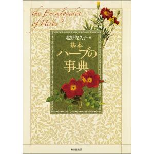 いのちのまつり ヌチヌグスージ/草場一壽/平安座資尚 : bookfan