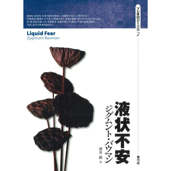液状不安 電子書籍版 / 著:ジグムント・バウマン/訳:澤井敦