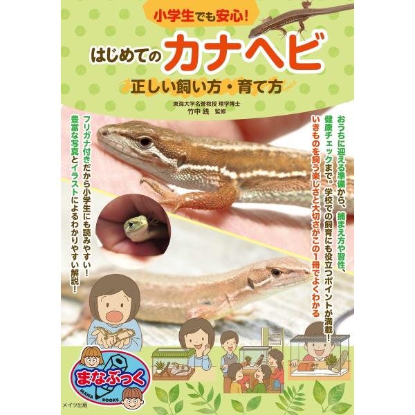 小学生でも安心!はじめてのカナヘビ 正しい飼い方・育て方 電子書籍版 / 監修:竹中践