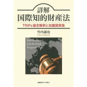 詳解 国際知的財産法 電子書籍版 / 著:竹内誠也｜ebookjapan