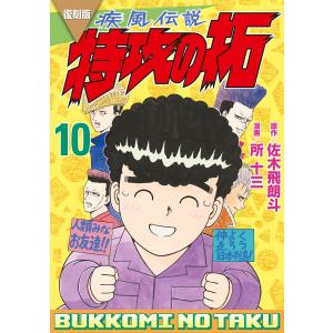 疾風(かぜ)伝説特攻(ぶっこみ)の拓 14 復刻版/佐木飛朗斗/所十三