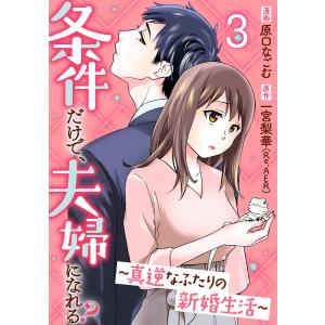 条件だけで、夫婦になれる?〜真逆なふたりの新婚生活〜 3巻 電子書籍版 / 原口なごむ 一宮梨華(Re,AER)｜ebookjapan