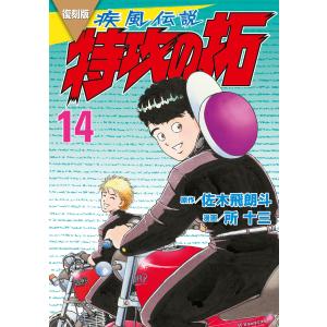 疾風伝説特攻の拓 25/佐木飛朗斗/所十三 : bookfanプレミアム - 通販