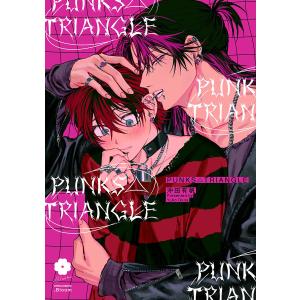 PUNKS△TRIANGLE 沖田有帆 特典 PUNKS△TRIANGLE 沖田有帆 特典 - メルカリ