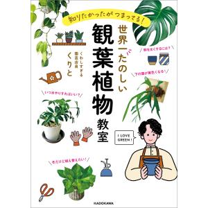 ECC Access Hand book L1/L2 計2冊 ☆ 020S4B : ブックスドリーム 学参