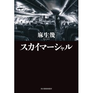 スカイマーシャル 電子書籍版 / 著者:麻生幾｜ebookjapan