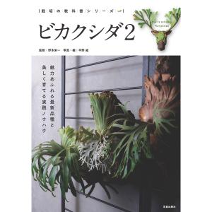 屍鬼 全5巻 全巻 セット 文庫版 小野不由美 表紙アルコール除菌済 管理