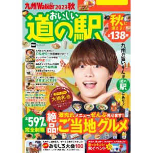 2025年度用 新課程版 セミナー物理基礎 問題集本体別冊解答編 別冊解答