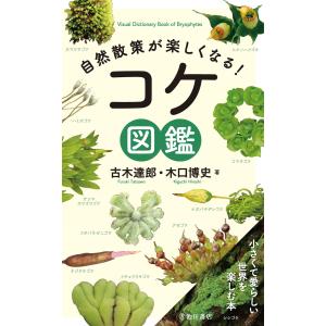 刑事事実認定マニュアル 上巻 : かんぽうbookstore - 通販 - Yahoo