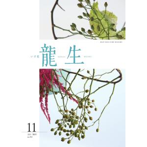 いけ花龍生 11月号 電子書籍版 / いけ花龍生編集部