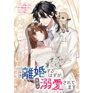 三年後離婚するはずが、なぜか溺愛されてます  (6) 電子書籍版
