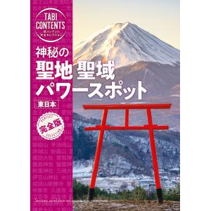 ゼンリン（ZENRIN） ゼンリン住宅地図 B4判 静岡県 伊豆の国市 発行