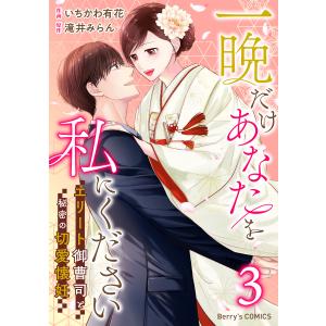 一晩だけあなたを私にください〜エリート御曹司と秘密の切愛懐妊〜3巻 電子書籍版 / いちかわ有花 (作画)/滝井みらん(原作)