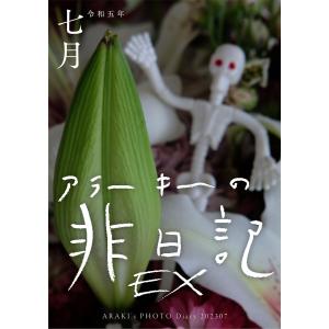 アスペクト解釈大事典/松村潔 : bookfanプレミアム - 通販 - Yahoo