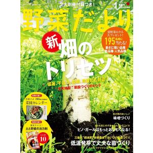 野菜だより 2024年1月号 電子書籍版 / ブティック社編集部｜ebookjapan