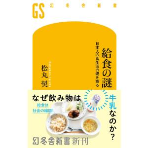 ゼンリン（ZENRIN） ゼンリン住宅地図 B4判 千葉県 いすみ市2（大原