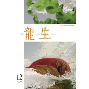 いけ花龍生 12月号 電子書籍版 / いけ花龍生編集部｜ebookjapan