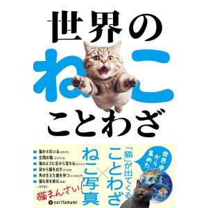 世界のねこことわざ 電子書籍版 / noritamami｜ebookjapan