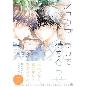 ハイキュー!! 劇場版 ゴミ捨て場の決戦 33.5巻 入場者特典 （コミック