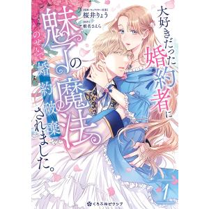 超豪華限定版】韓国語 まんが 『ある継母のメルヘン 4』(イラスト